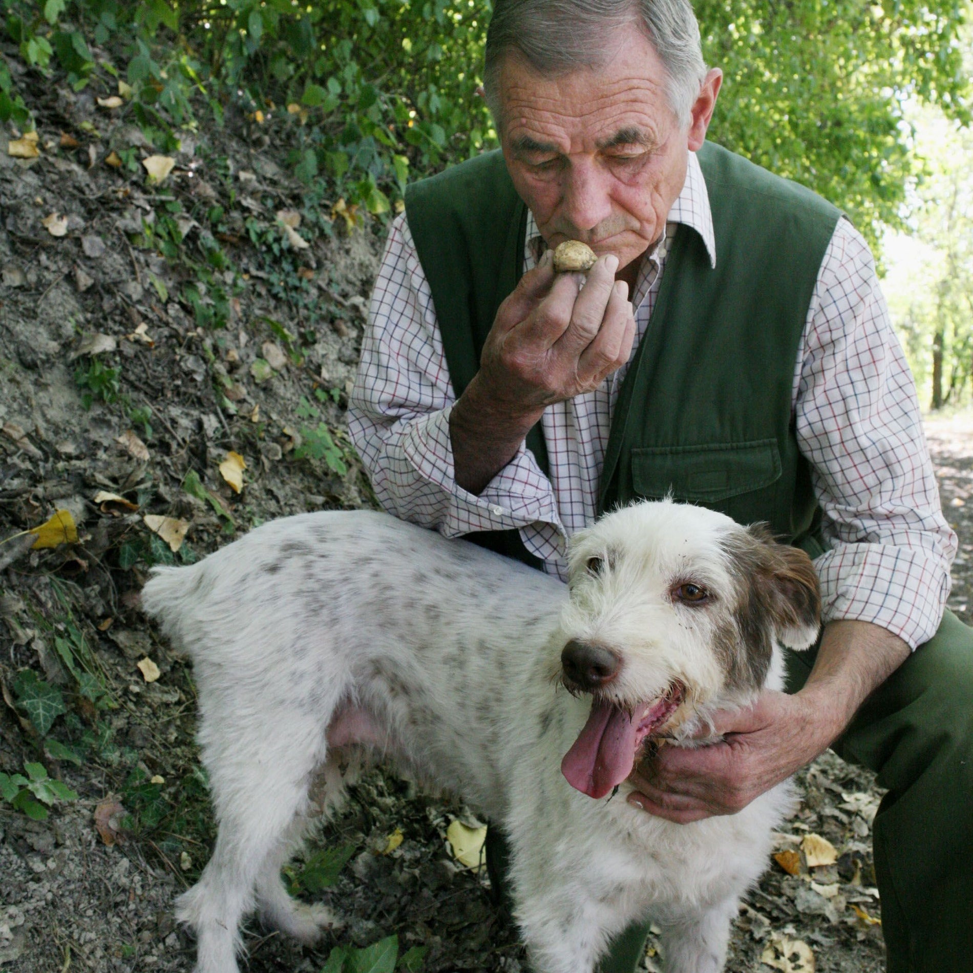 10 Quick Curious Facts You Need To Know About Truffles