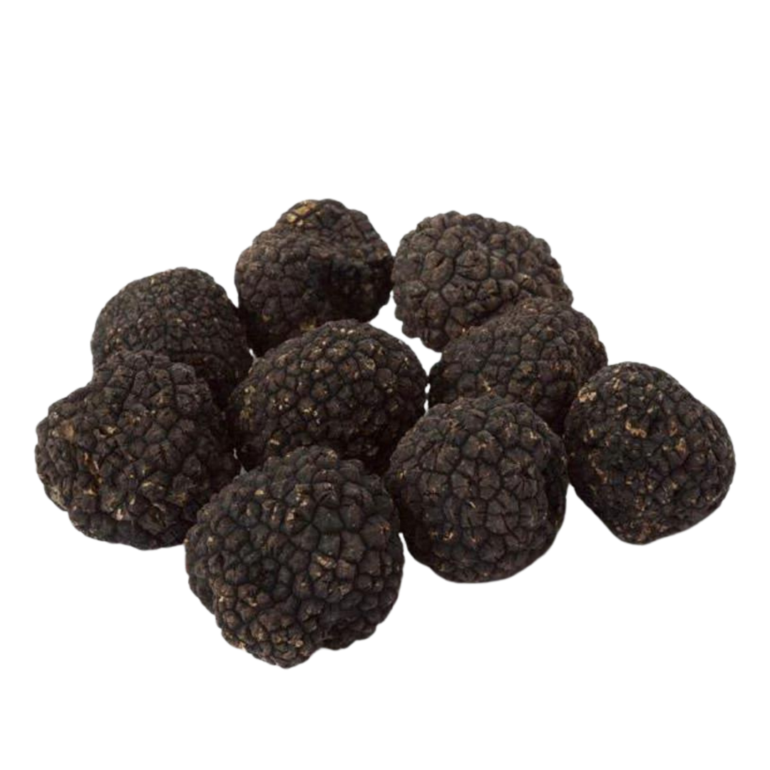 Black Burgundy Truffles (POS) - Urbani Truffles