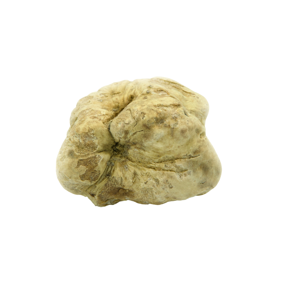 White Alba Truffles