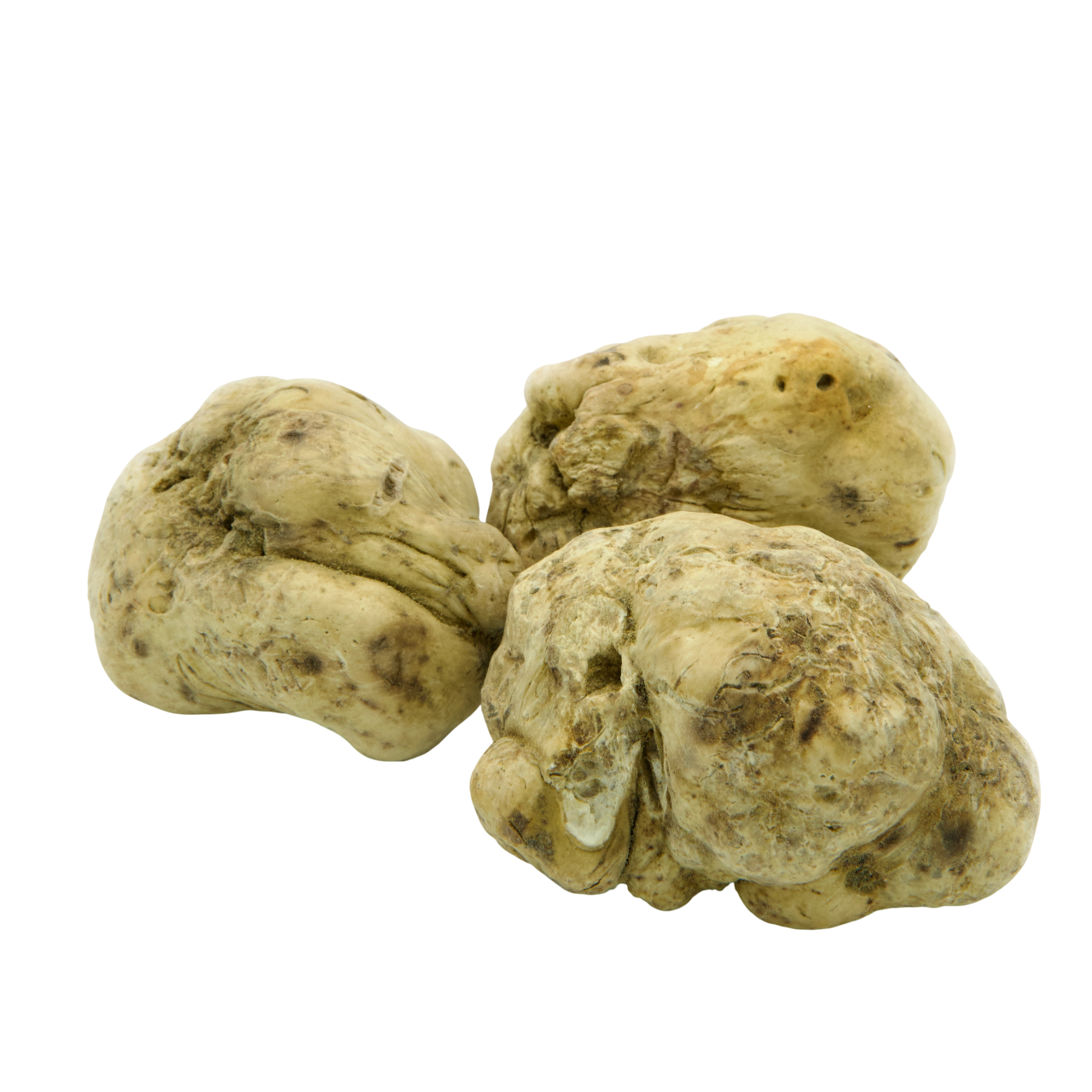 White Alba Truffles