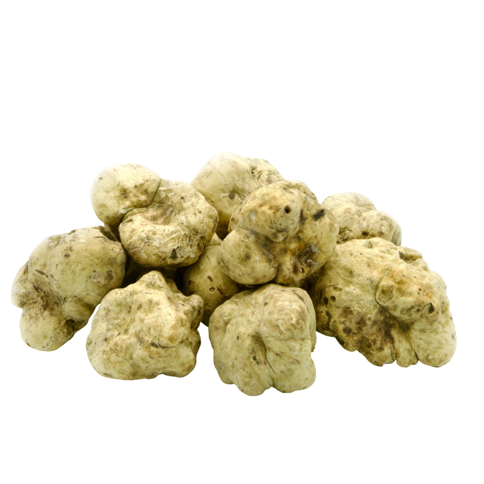 White Alba Truffles