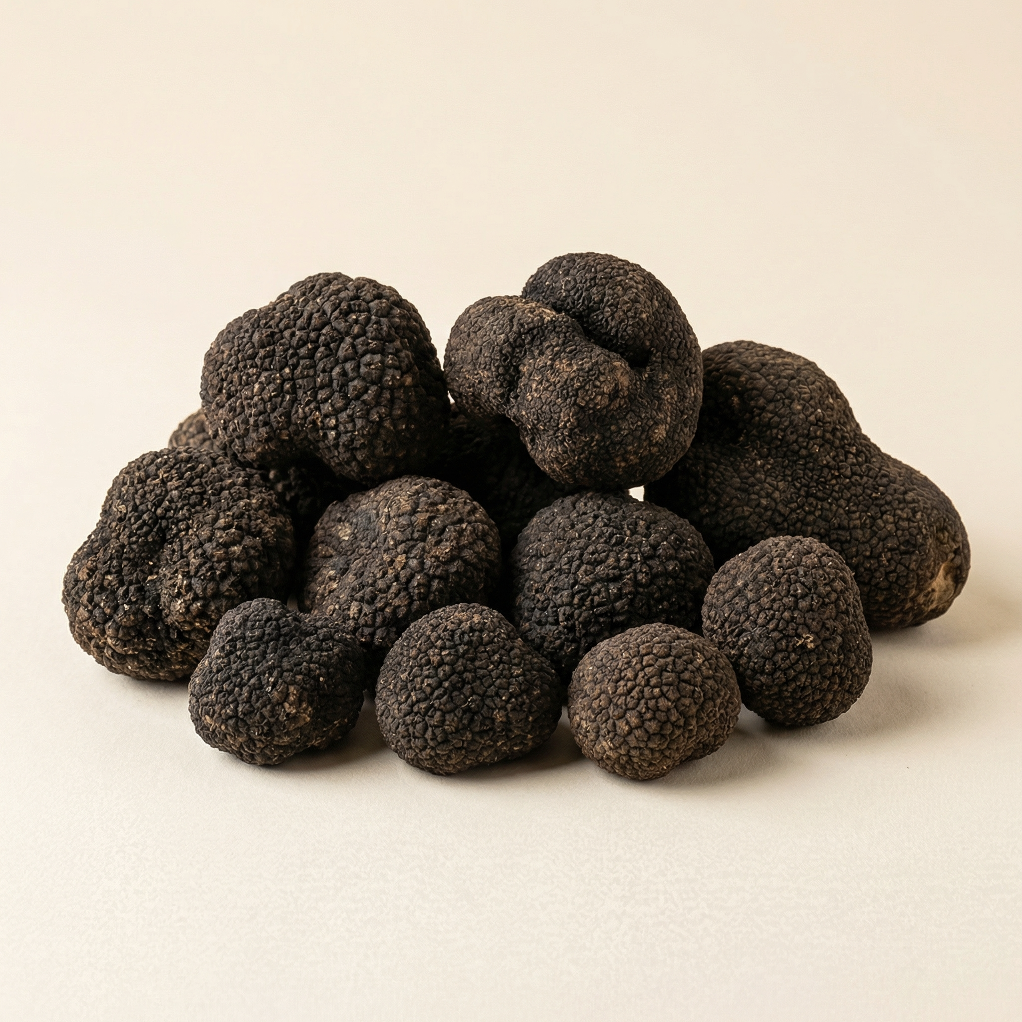 Black Summer Truffles