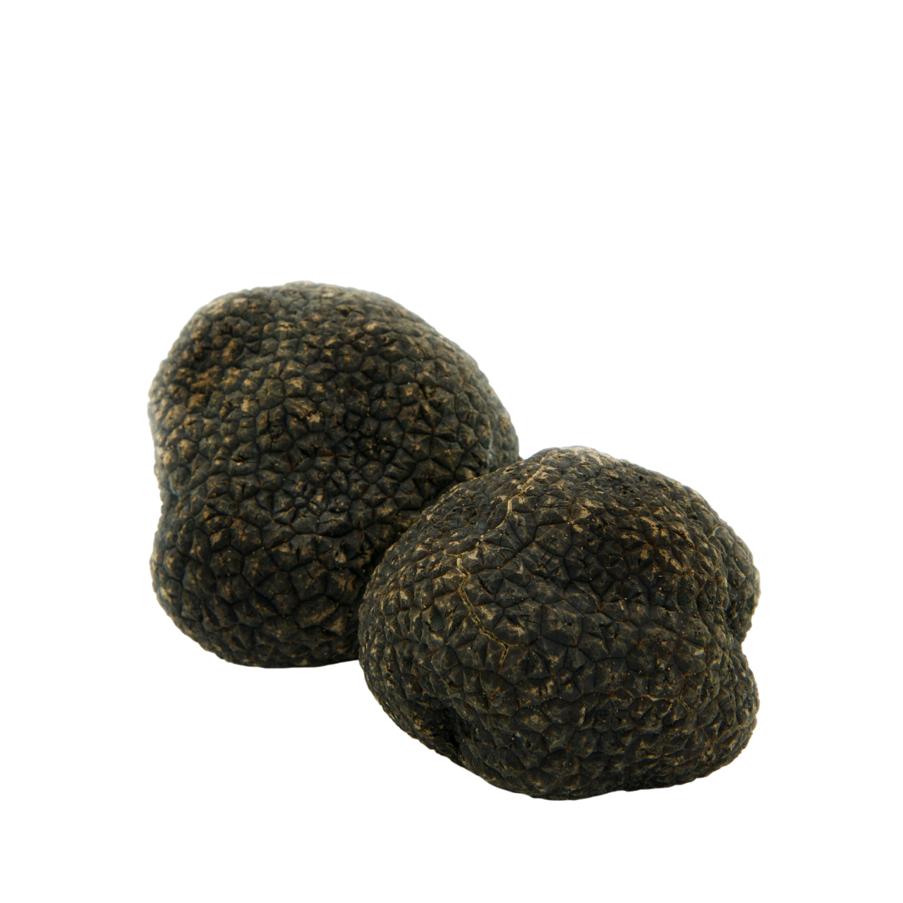 Black Winter Truffles