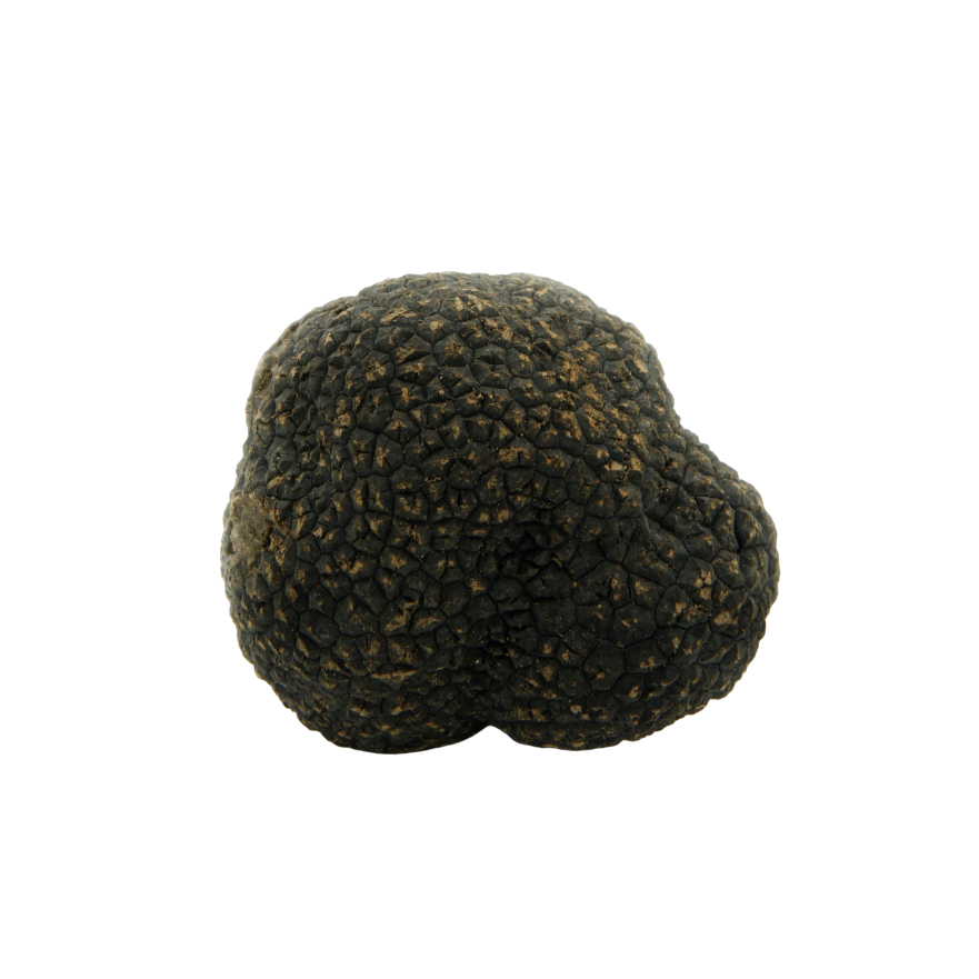 Black Burgundy Truffles