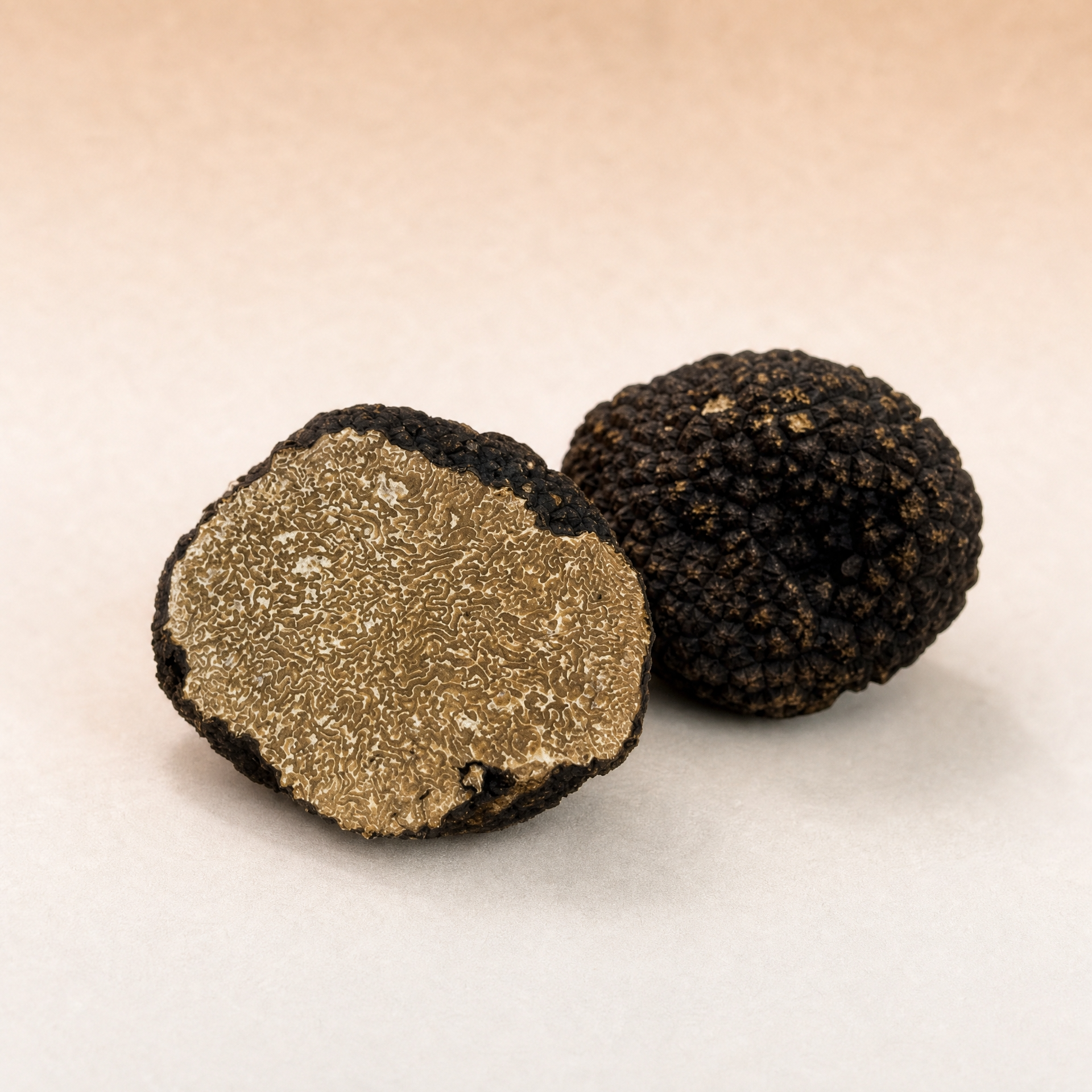 Burgundy Truffles | Tuber Uncinatum