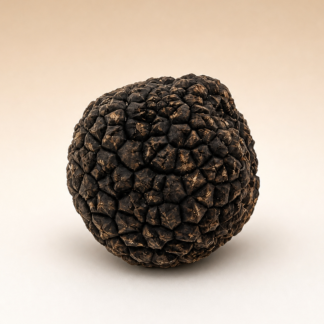 Australian Black Truffles