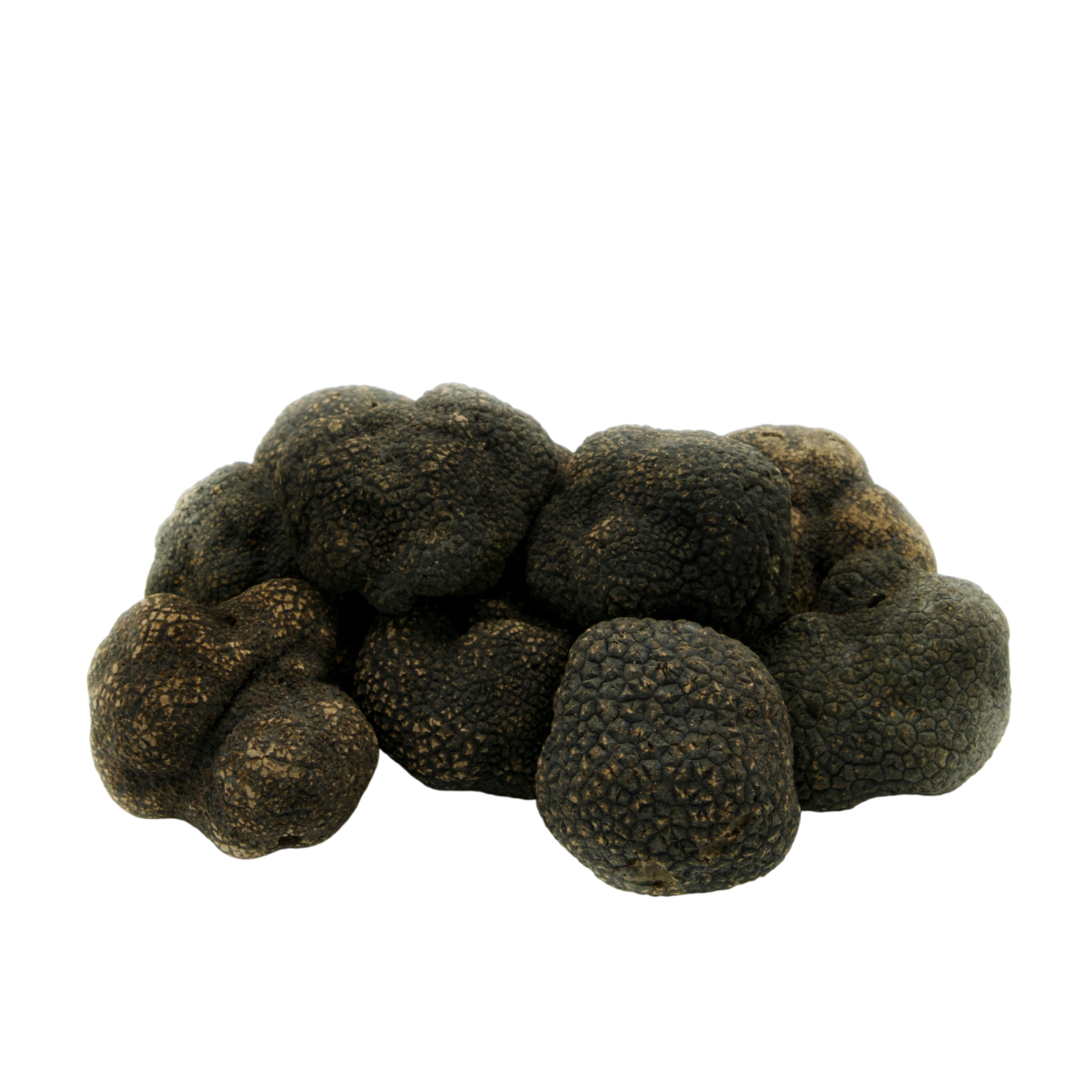 Black Winter Truffles