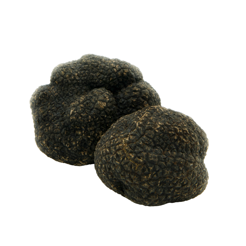 Black Burgundy Truffles - Urbani Truffles