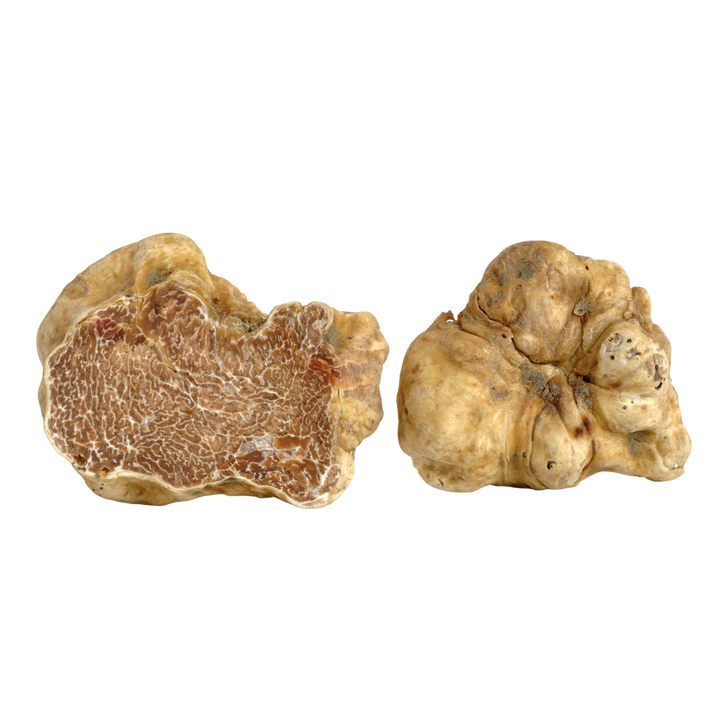 White Alba Truffles - Urbani Truffles