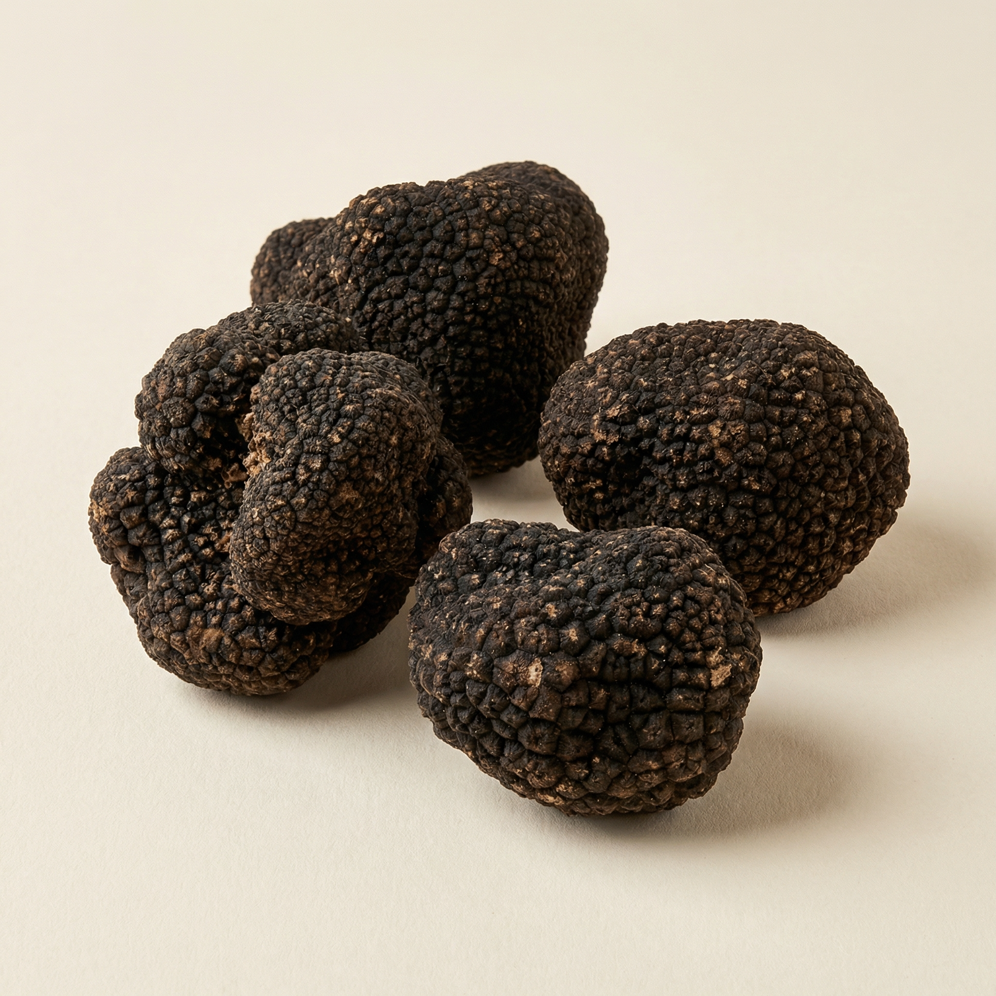 Black Summer Truffles