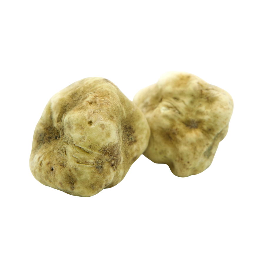 White Alba Truffles