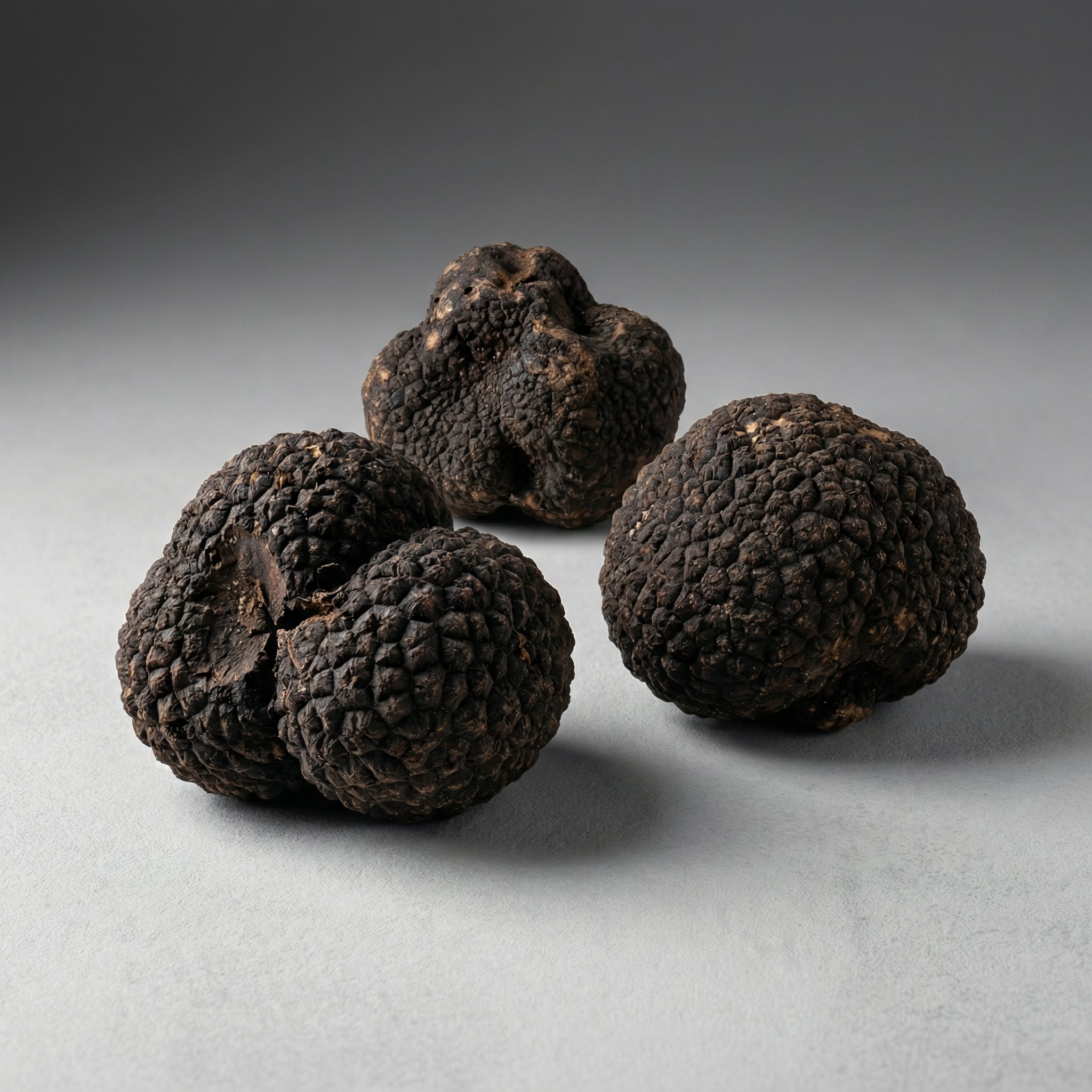 Black Winter Truffles