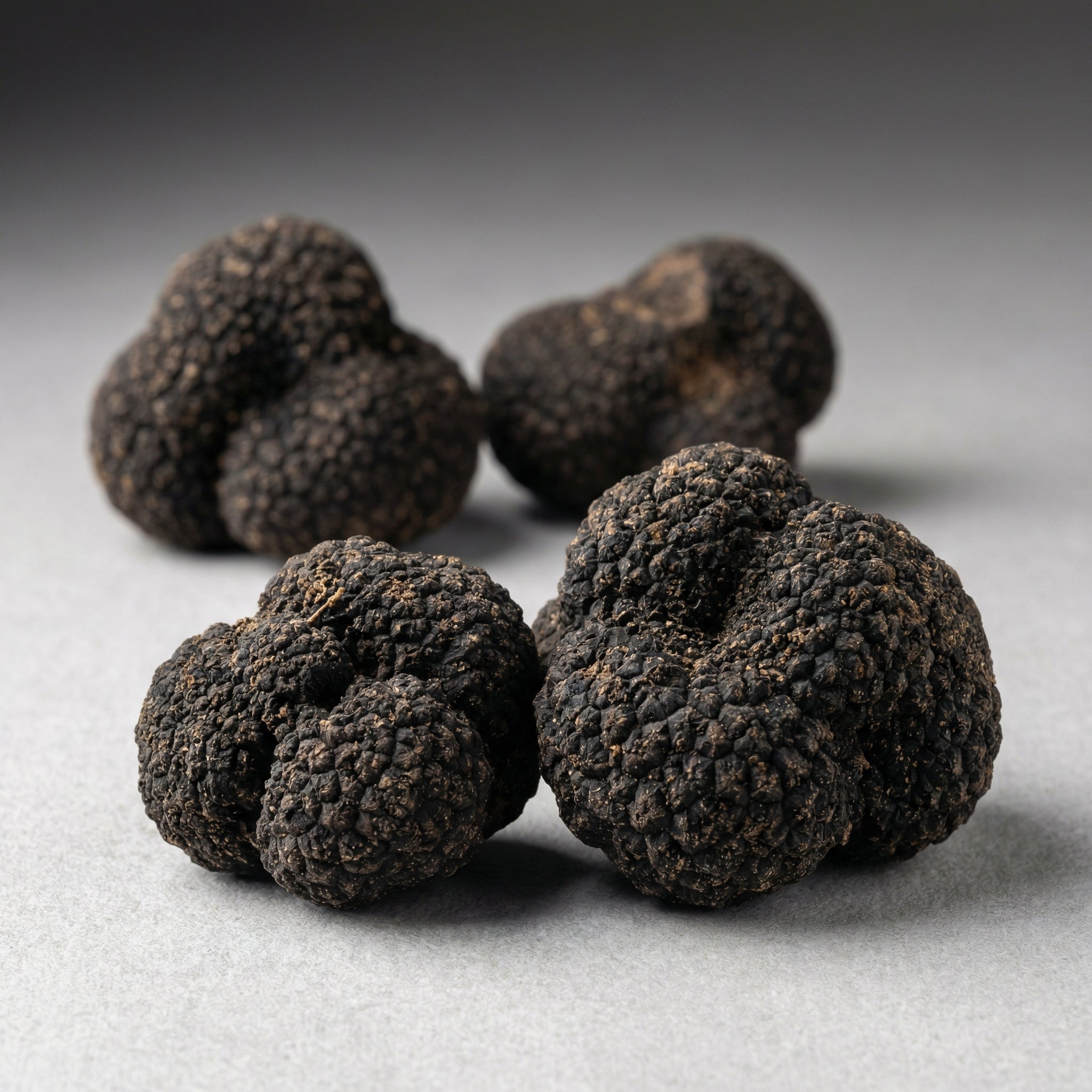 Black Winter Truffles