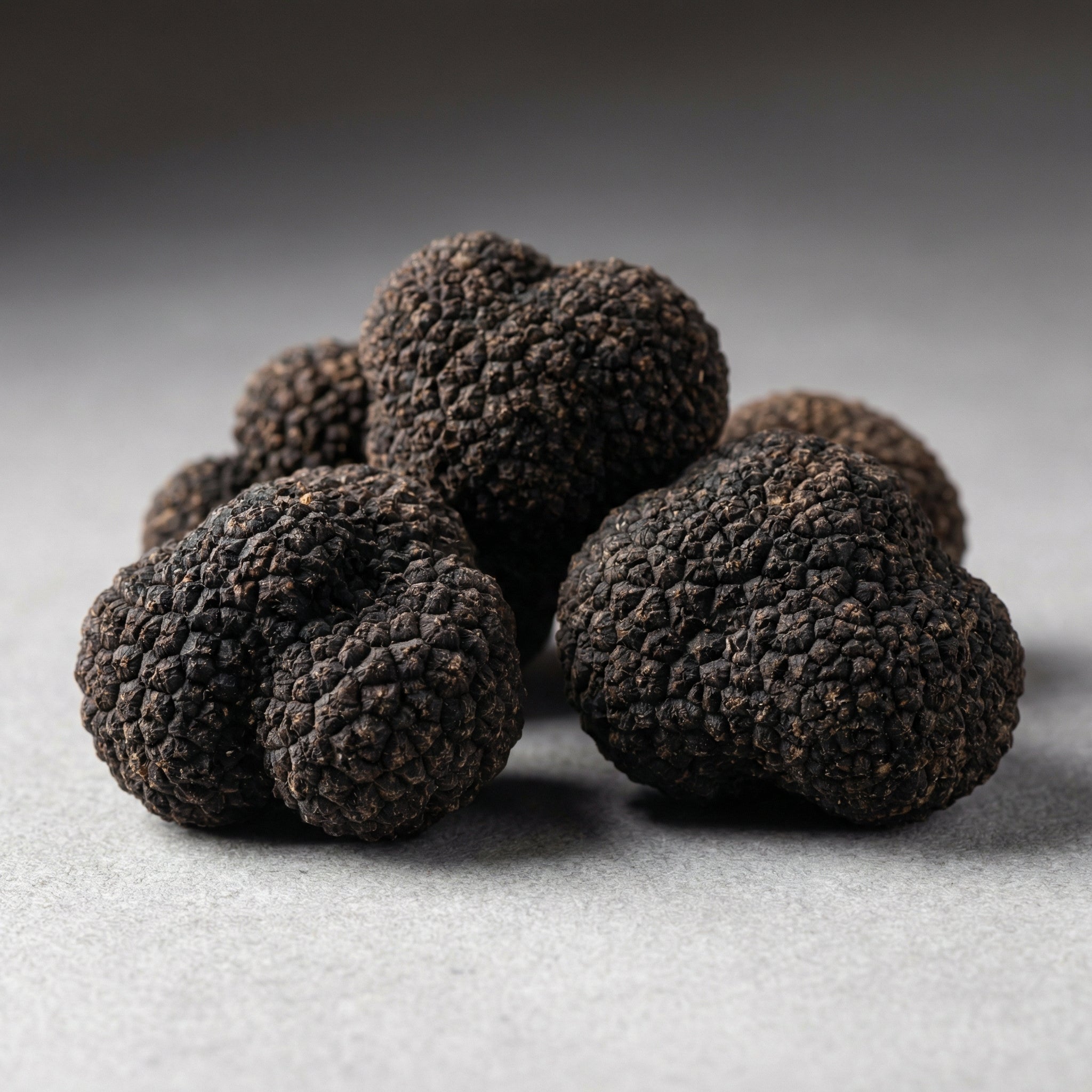Black Winter Truffles