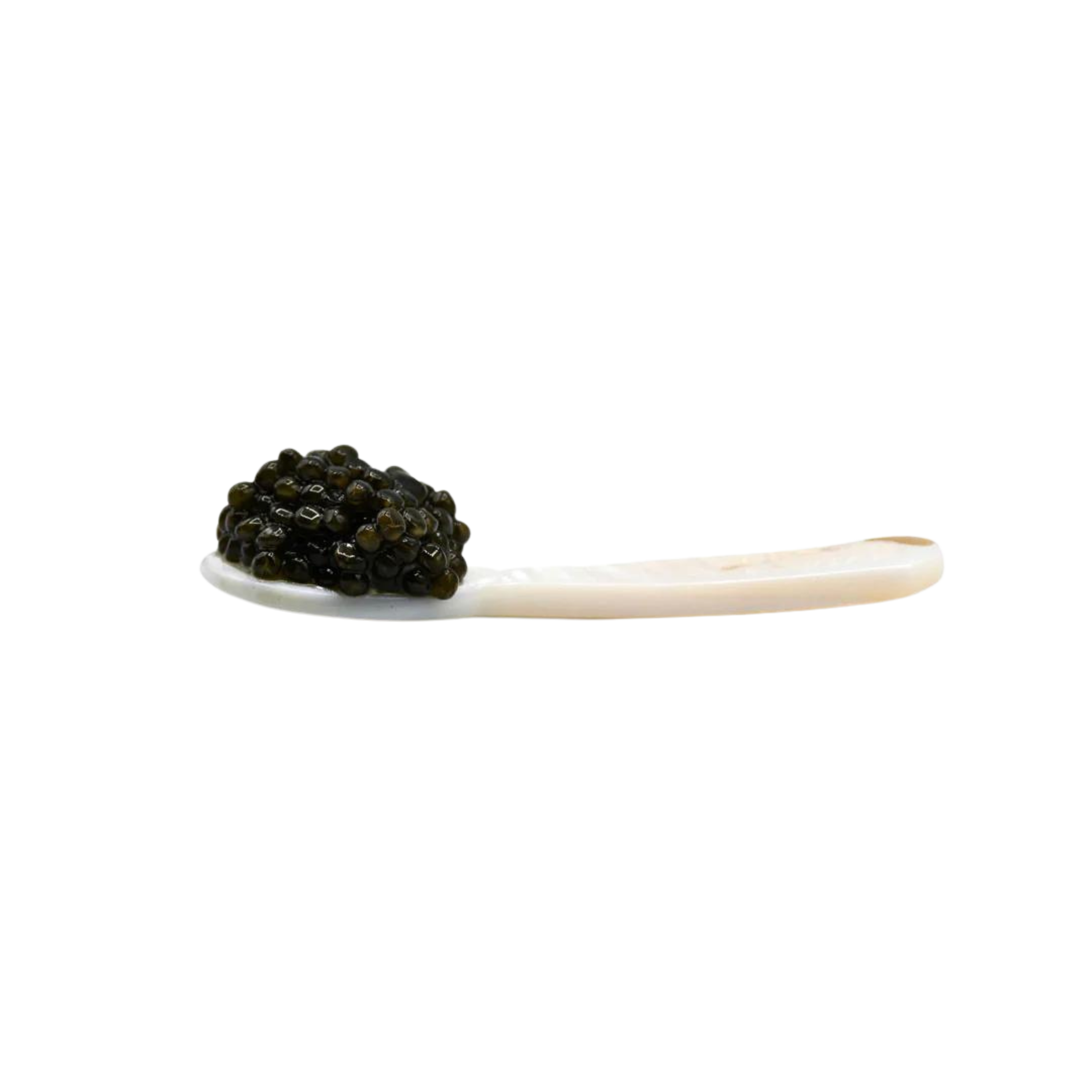 Caviar Spoon - Urbani Truffles