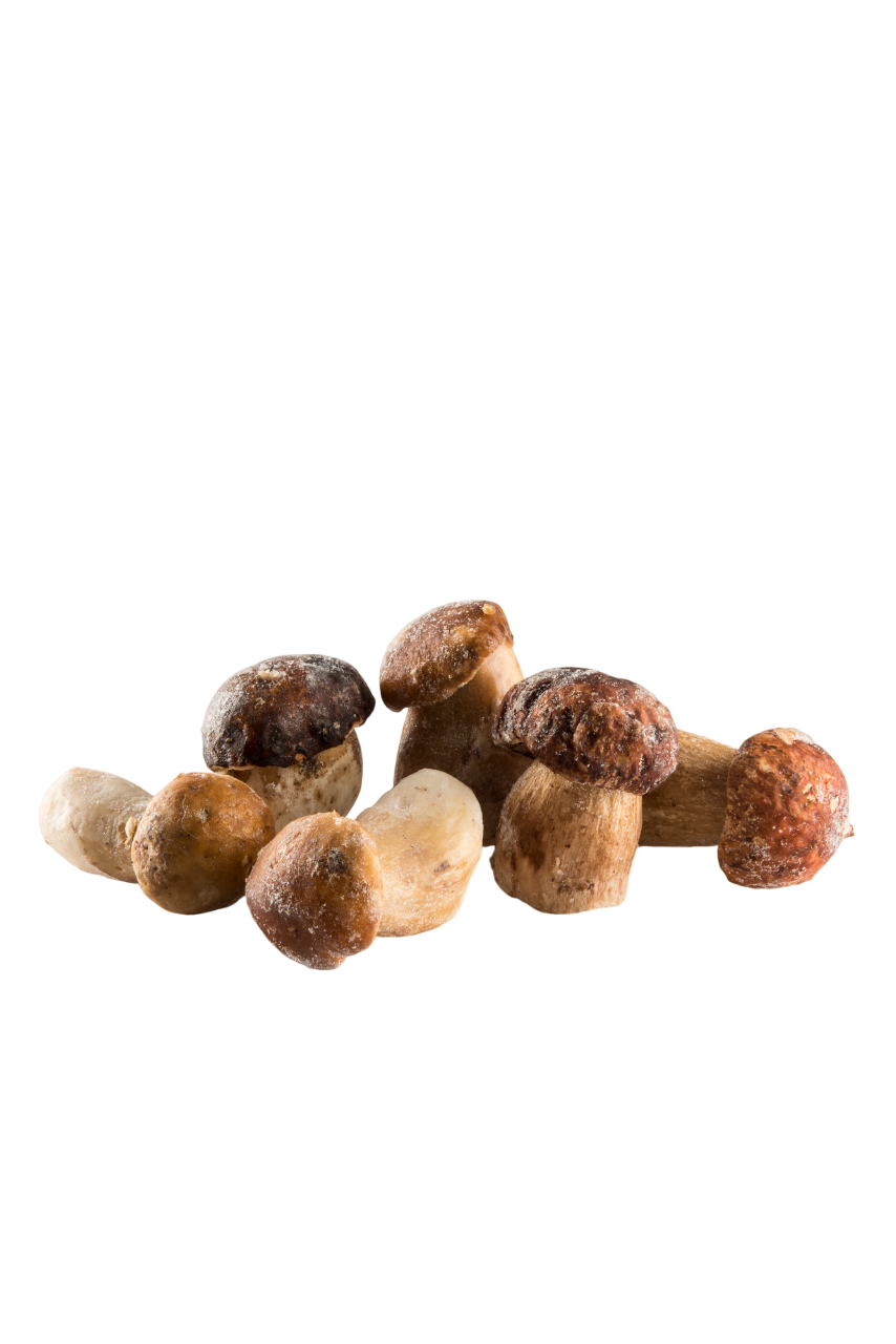 Frozen Porcini Mushrooms 2.2 lb