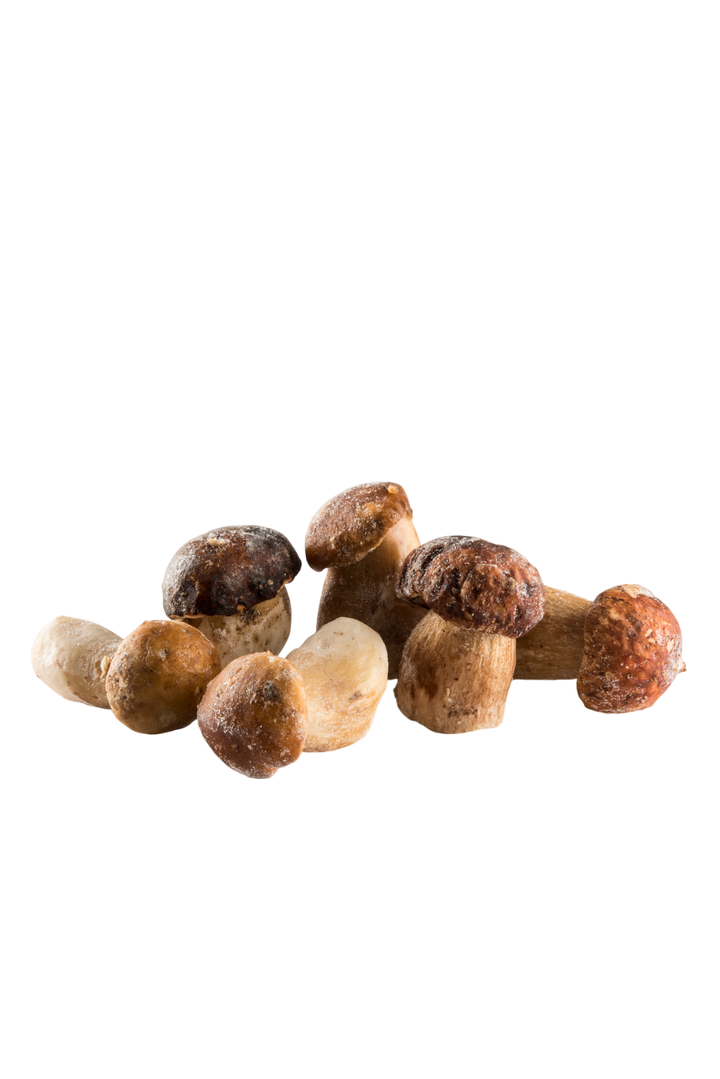 Frozen Porcini Mushrooms 2.2 lb