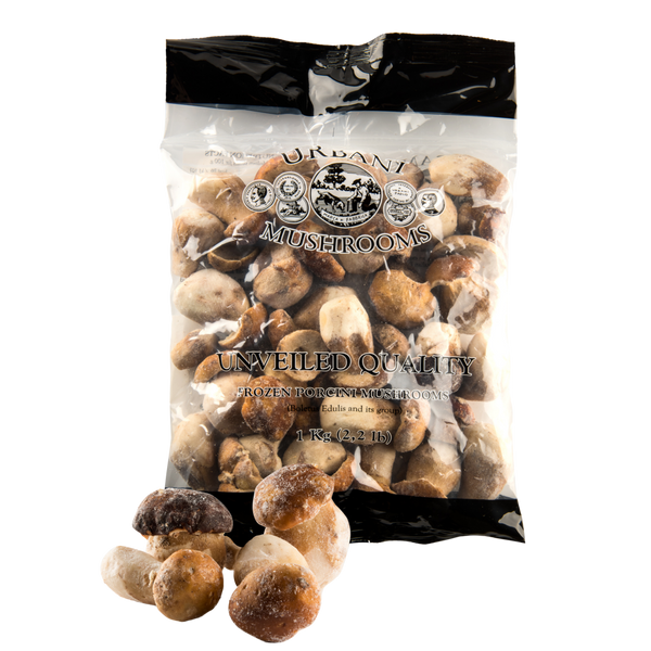 porcini mushrooms