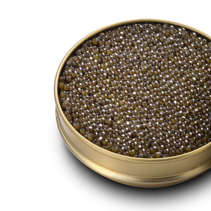 Kaluga Hybrid Caviar 1 kg - Urbani Truffles