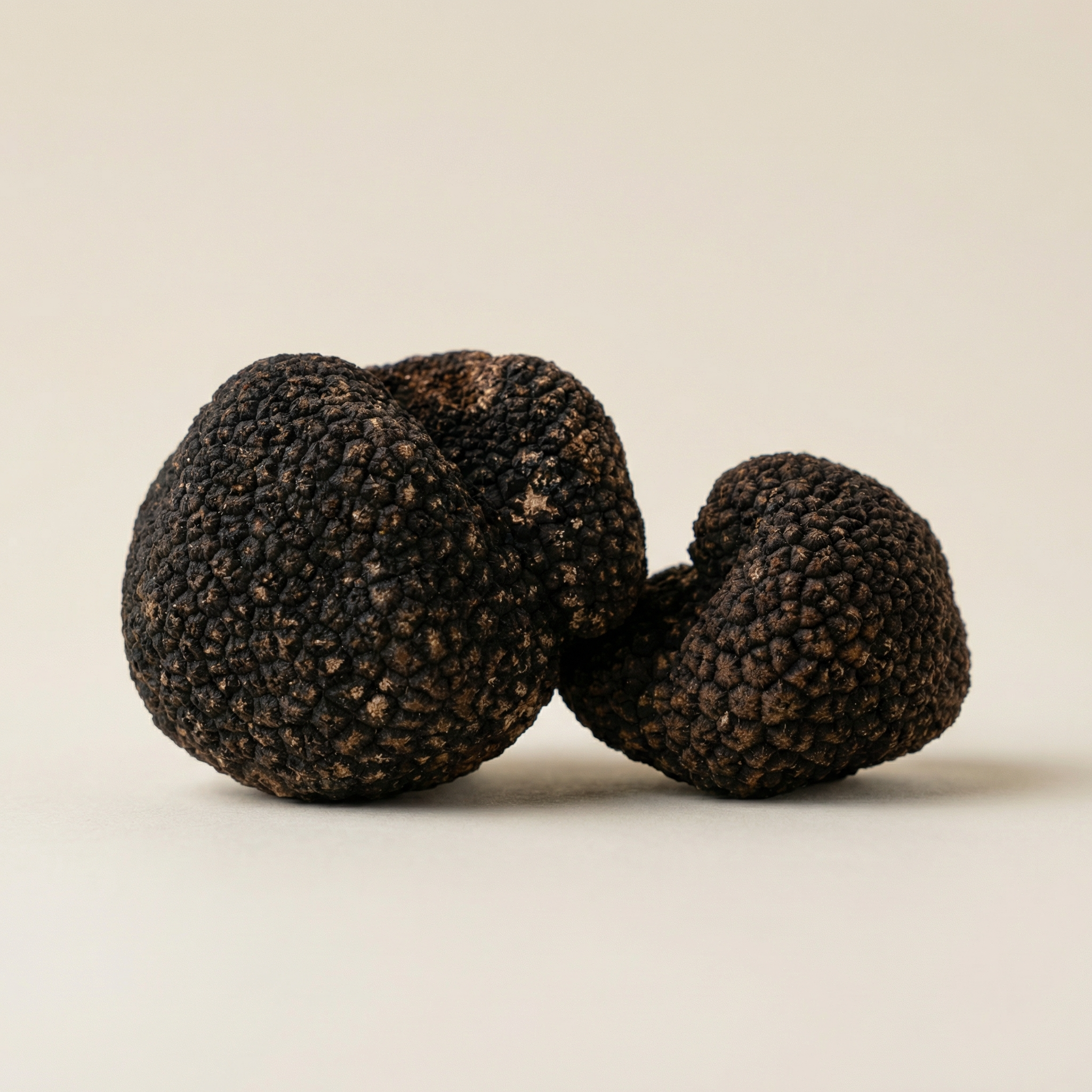 Black Summer Truffles