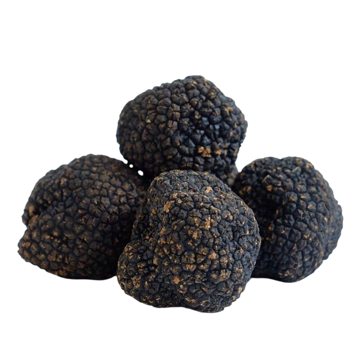 Black Burgundy Truffles