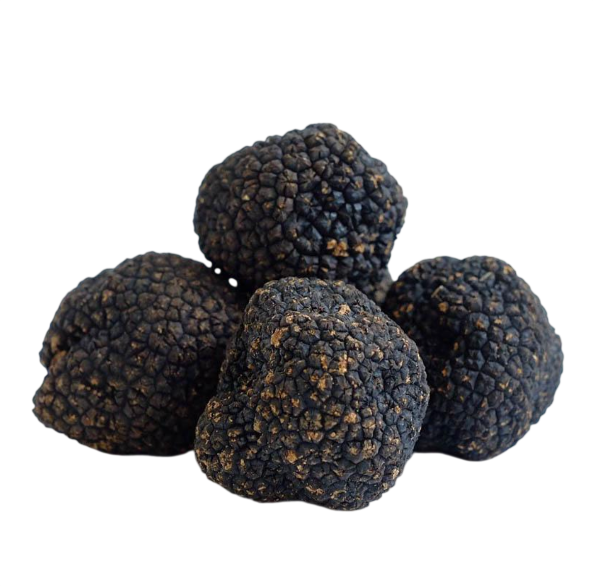 Black Winter Truffles