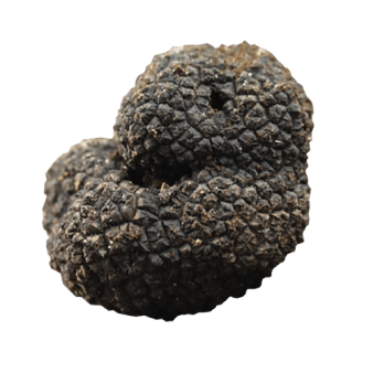 bagnoli_truffle.png?v\u003d1716534707\u0026width\u003d1080