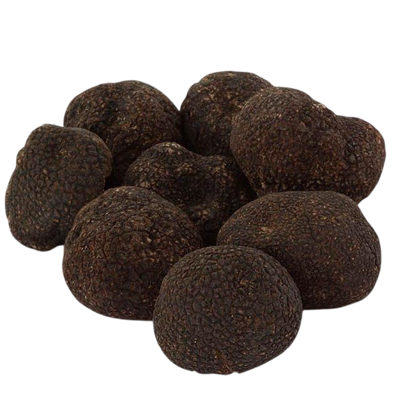 Black Winter Truffles