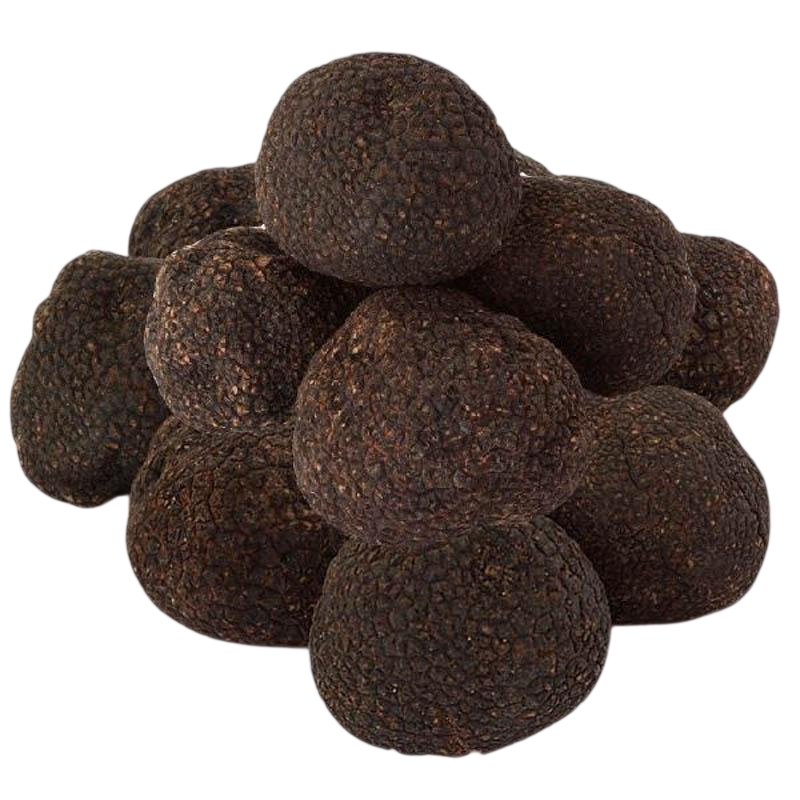 Black Winter Truffles