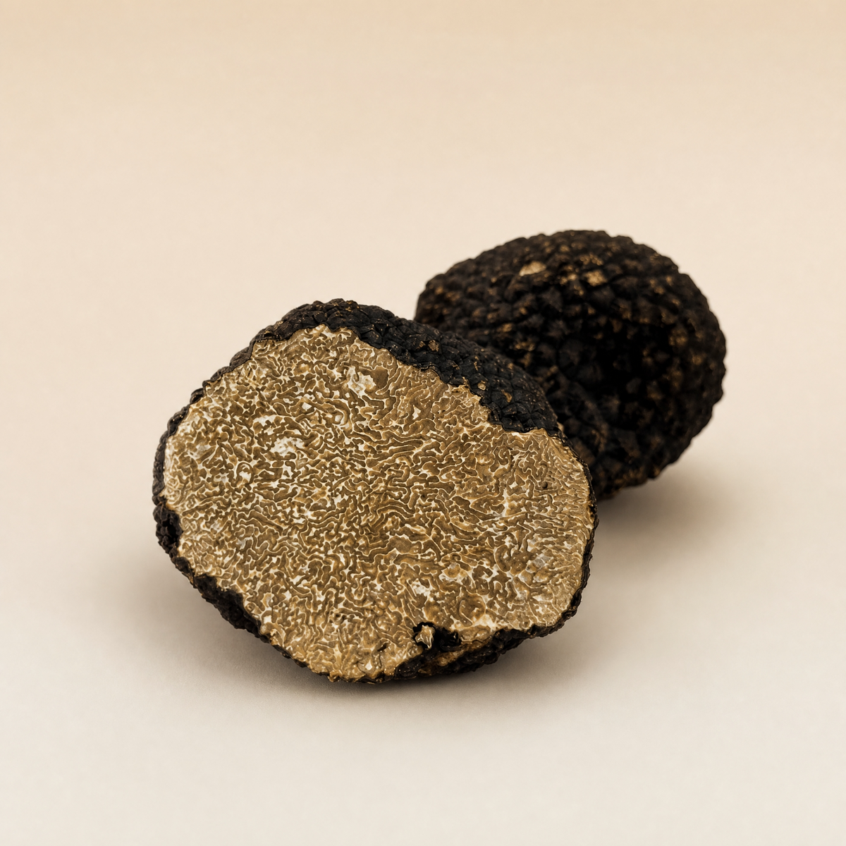 Burgundy Truffles | Tuber Uncinatum