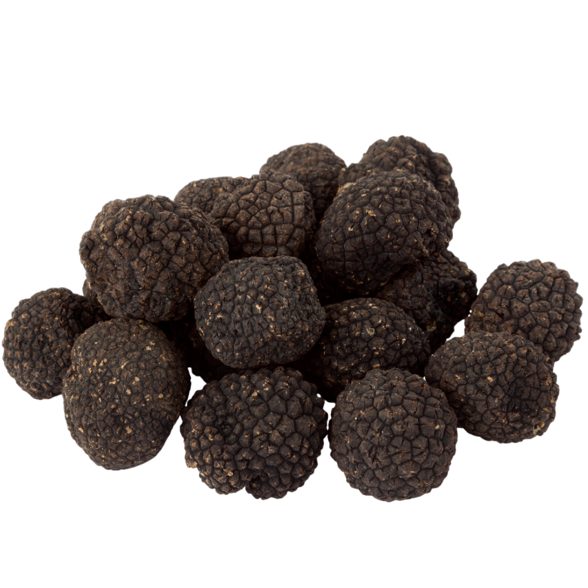 Black Burgundy Truffles