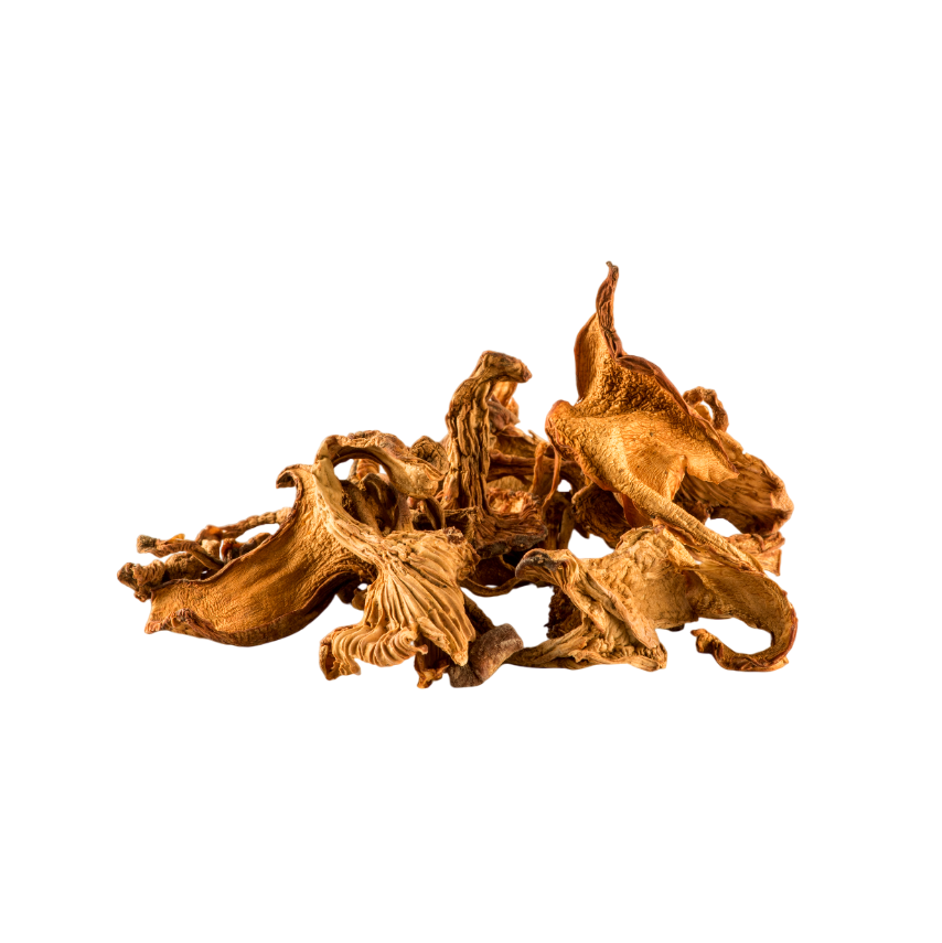 Dried Chanterelle Mushrooms 1 lb