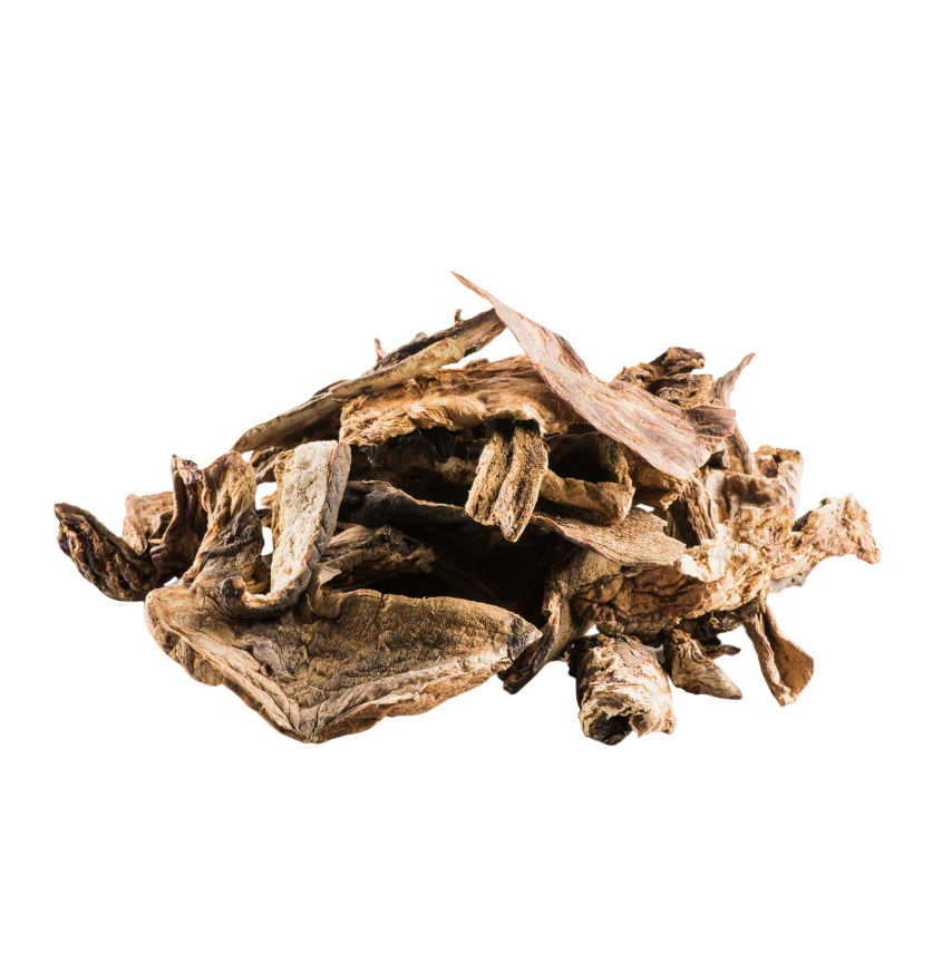 Dried Porcini Mushrooms 1 oz