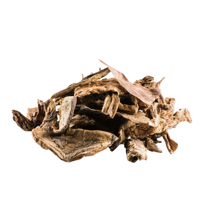 Dried Porcini Mushrooms 1 oz