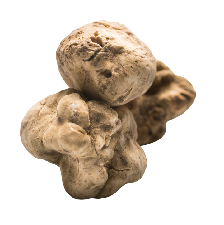 White Alba Truffles - Urbani Truffles