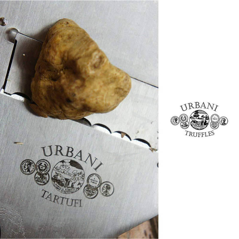 Stainless Truffle Slicer - Urbani Truffles