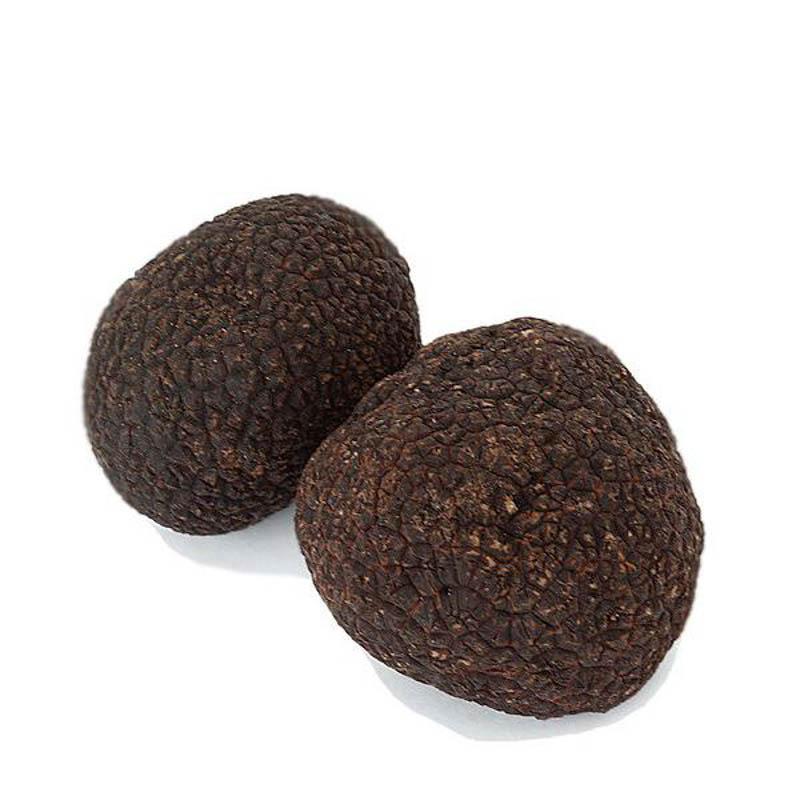 Black Winter Truffles - SMALL SIZE - Urbani Truffles