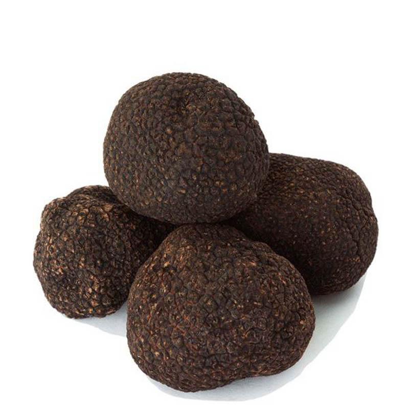 Black Winter Truffles - SMALL SIZE - Urbani Truffles