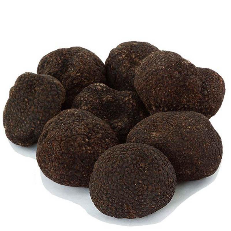 Black Winter Truffles - SMALL SIZE - Urbani Truffles