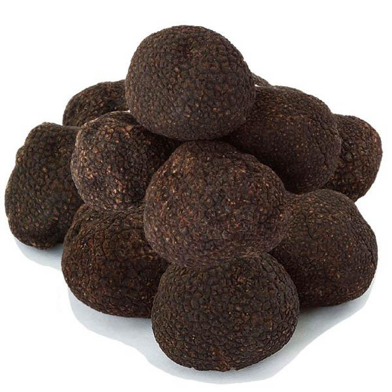 Black Winter Truffles - SMALL SIZE - Urbani Truffles