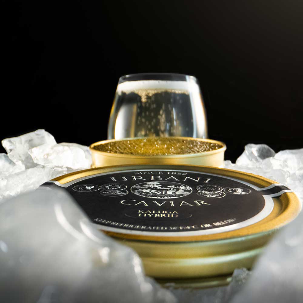 Kaluga Hybrid Caviar - Urbani Truffles