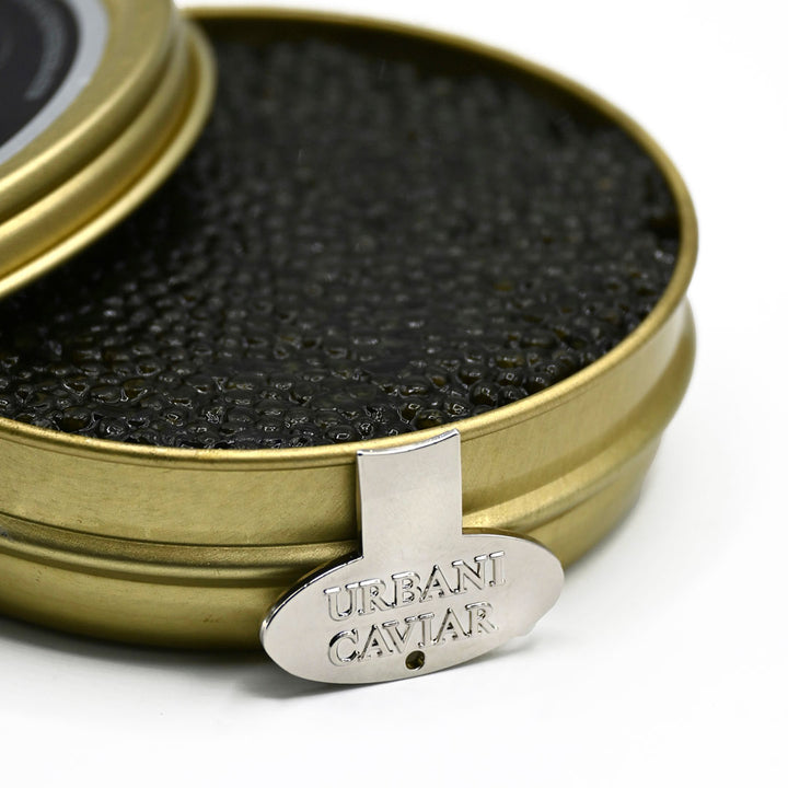 Caviar Tin Opener - Urbani Truffles